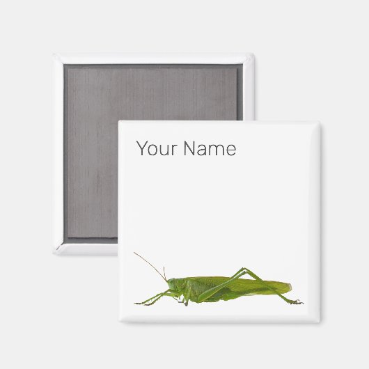Grasshopper oder Retro-Insekt Magnet (Vorderseite/Rückseite)