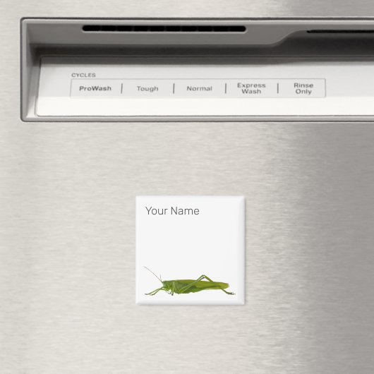 Grasshopper oder Retro-Insekt Magnet (In Situ (Geschirrspüler))