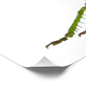 Grasshopper oder Retro-Insekt Poster (Ecke)