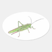 Grasshopper Ovaler Aufkleber (Vorderseite)