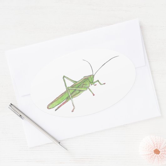 Grasshopper Ovaler Aufkleber (Umschlag)