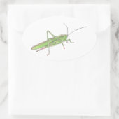 Grasshopper Ovaler Aufkleber (Tasche)