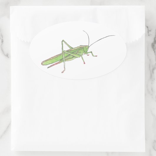 Grasshopper Ovaler Aufkleber (Tasche)