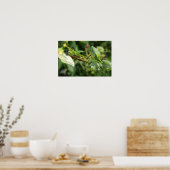 Grasshopper Pair 2 Poster (Küche)
