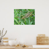 Grasshopper Poster (Küche)
