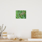 Grasshopper Poster (Küche)
