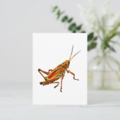 Grasshopper Postkarte (Stehend Vorderseite)