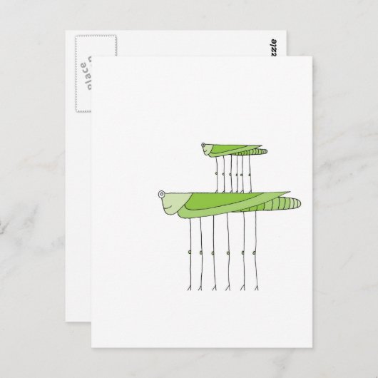 Grasshopper Postkarte (Vorne/Hinten)