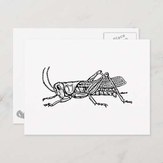 Grasshopper Postkarte (Vorne/Hinten)