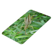 Grasshopper Premium Magnet (Linke Seite)