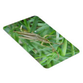 Grasshopper Premium Magnet (Rechte Seite)
