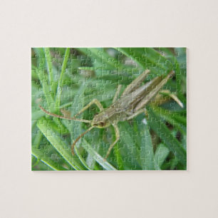 Grasshopper Puzzle