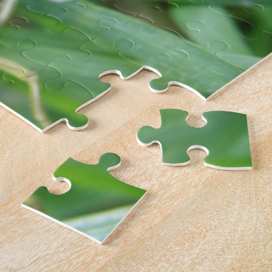 Grasshopper Puzzle (Seite)