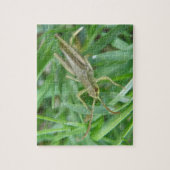 Grasshopper Puzzle (Vertikal)