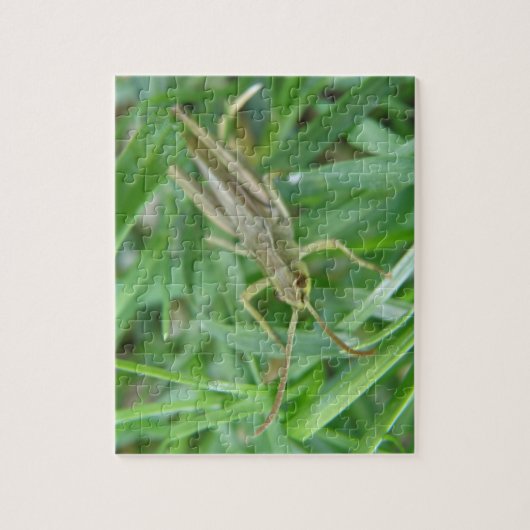 Grasshopper Puzzle (Vertikal)