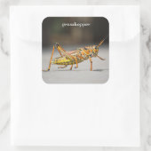 Grasshopper Quadratischer Aufkleber (Tasche)