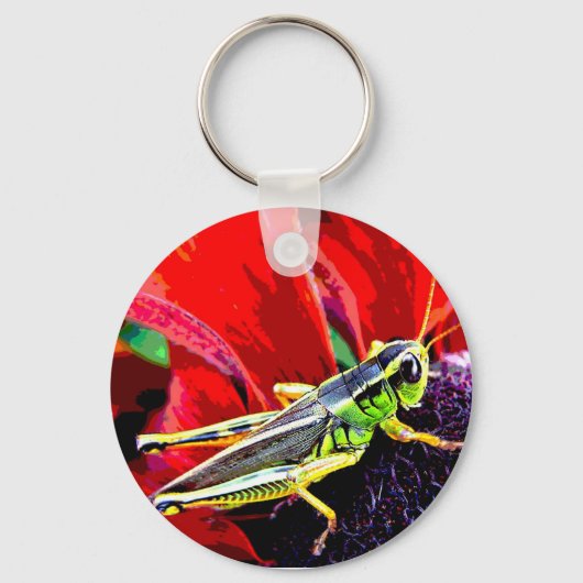 Grasshopper Schlüsselanhänger (Vorderseite)