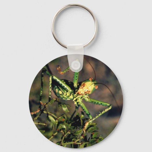Grasshopper Schlüsselanhänger (Vorderseite)
