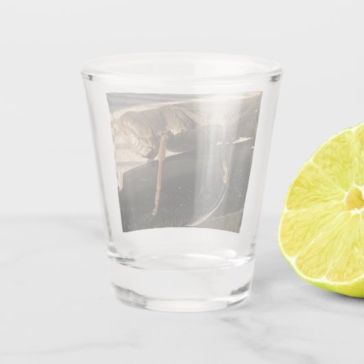 Grasshopper Schnapsglas (Rückseite)