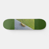 Grasshopper Skateboard (Horizontal)
