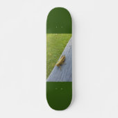 Grasshopper Skateboard (Vorne)