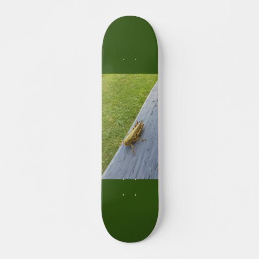 Grasshopper Skateboard (Vorne)