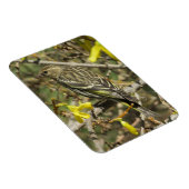 Grasshopper-Sparrow im Sonnenschein Magnet (Rechte Seite)