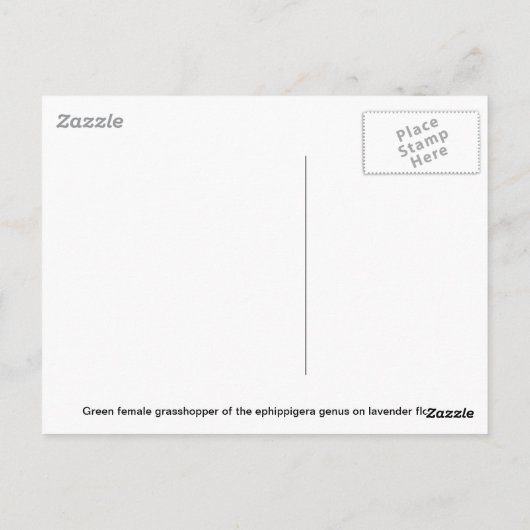 Grasshopper über Wasser mit Reflektion Postkarte (Rückseite)