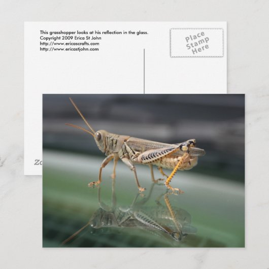 Grasshoppere Reflektionen Postkarte (Vorne/Hinten)