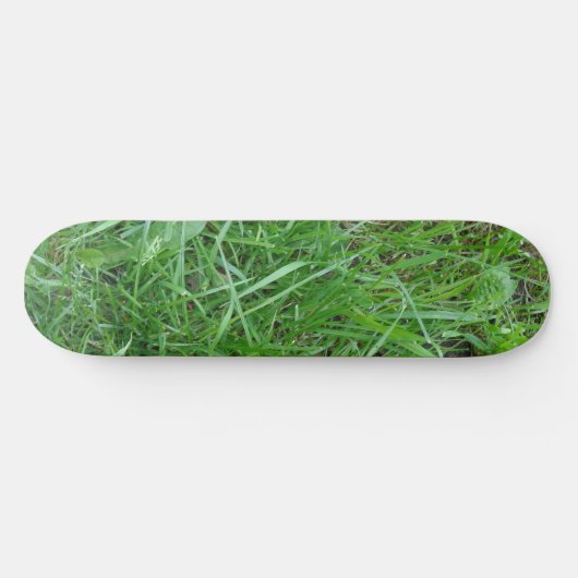 Grasskateboard Skateboard (Horizontal)