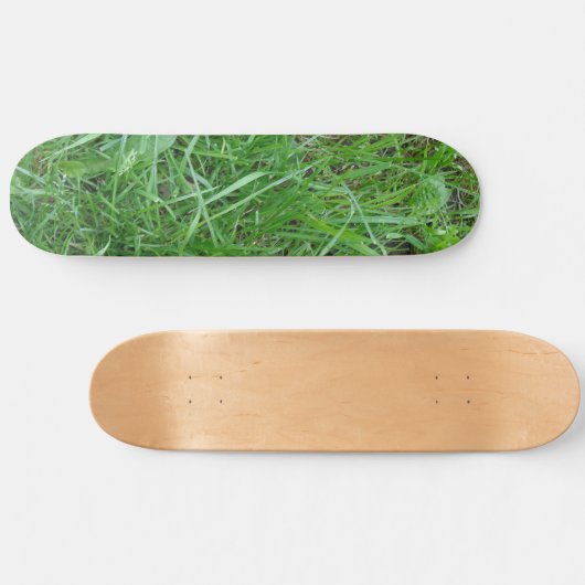 Grasskateboard Skateboard (Horizontal)