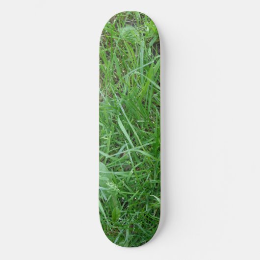 Grasskateboard Skateboard (Vorderseite)