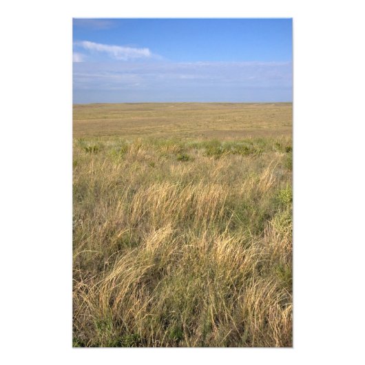 Grassland Prärie östlich von Sidney, Nebraska. Fotodruck (Vorne)
