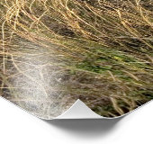 Grassland Prärie östlich von Sidney, Nebraska. Fotodruck (Ecke)