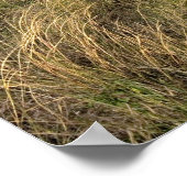 Grassland Prärie östlich von Sidney, Nebraska. Poster (Ecke)