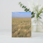 Grassland Prärie östlich von Sidney, Nebraska. Postkarte (Stehend Vorderseite)