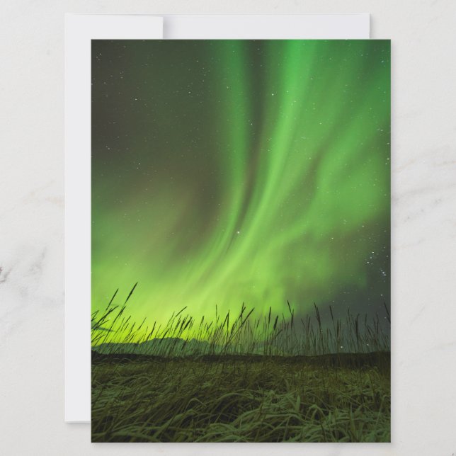 Grasslands Aurora (Vorderseite)