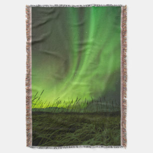 Grasslands Aurora Decke