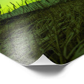 Grasslands Aurora Fotodruck (Ecke)