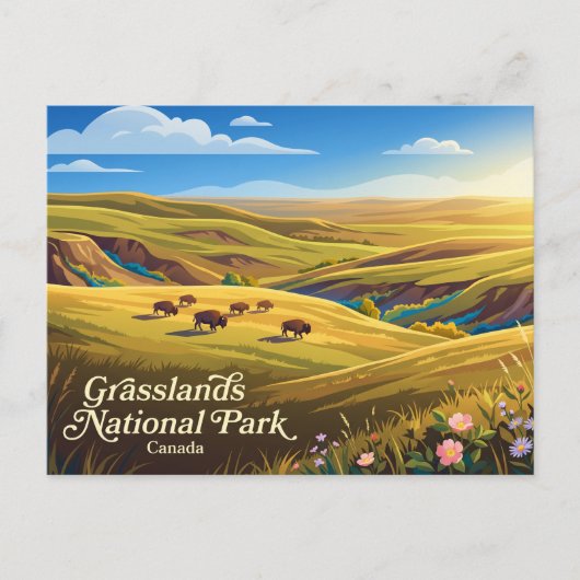 Grasslands National Park Kanada Postkarte (Vorderseite)