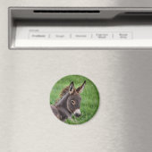 Grasspinne Magnet (In Situ (Geschirrspüler))