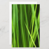 Grasstrahlen Briefpapier (Vorne/Hinten)