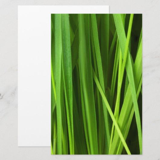 Grasstrahlen Briefpapier (Vorne/Hinten)
