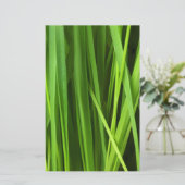 Grasstrahlen Briefpapier (Stehend Vorderseite)
