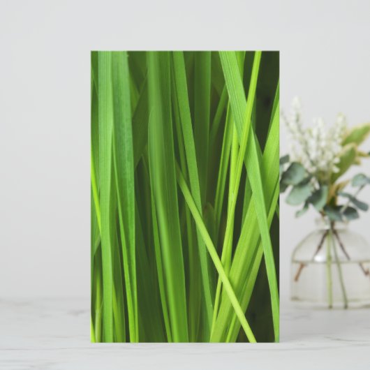 Grasstrahlen Briefpapier (Stehend Vorderseite)