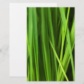 Grasstrahlen Briefpapier (Vorne/Hinten)