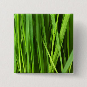 Grasstrahlen Button
