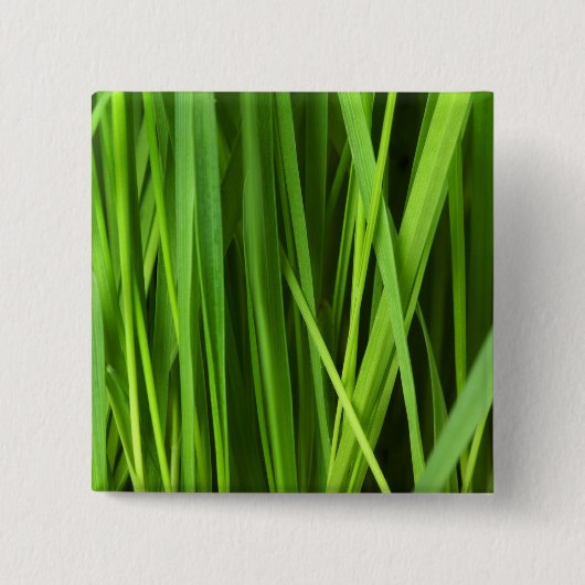 Grasstrahlen Button (Vorderseite)