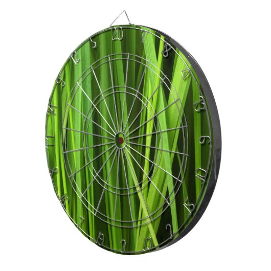 Grasstrahlen Dartscheibe (Vorderseite rechts)