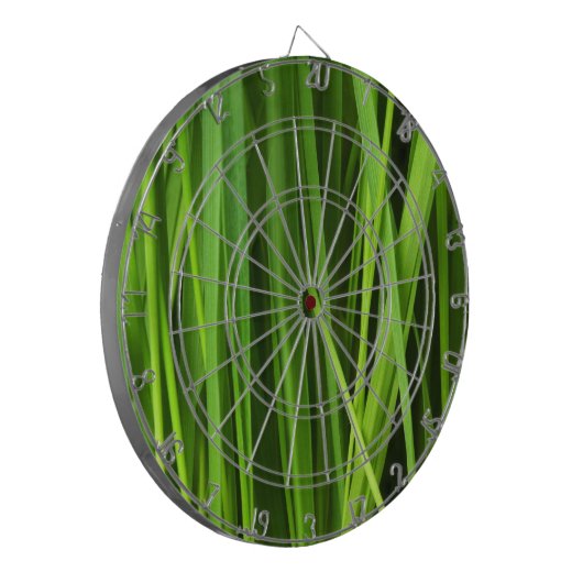 Grasstrahlen Dartscheibe (Vorderseite Links)